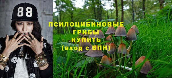 ALPHA PVP Осташков
