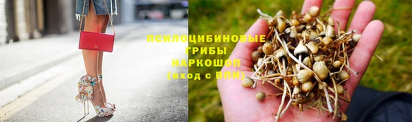 ALPHA PVP Осташков