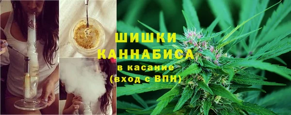 ALPHA PVP Осташков