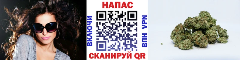 Каннабис сатива  Купить где  Пикалёво 